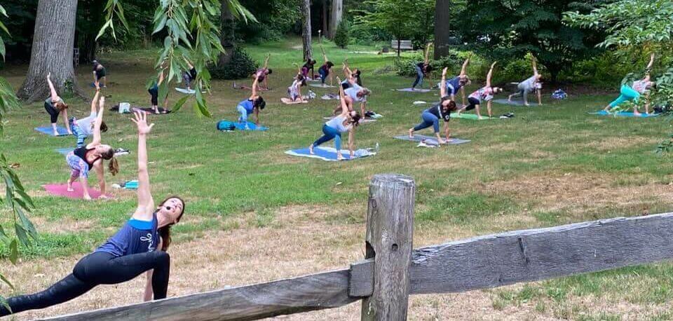 AFR Yoga in the Park
